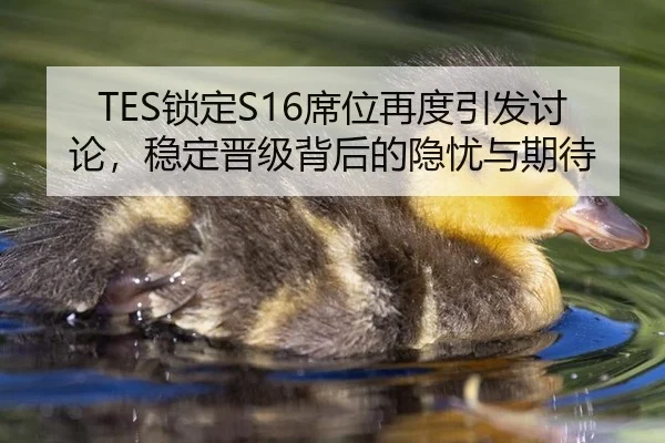TES锁定S16席位再度引发讨论，稳定晋级背后的隐忧与期待